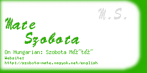 mate szobota business card